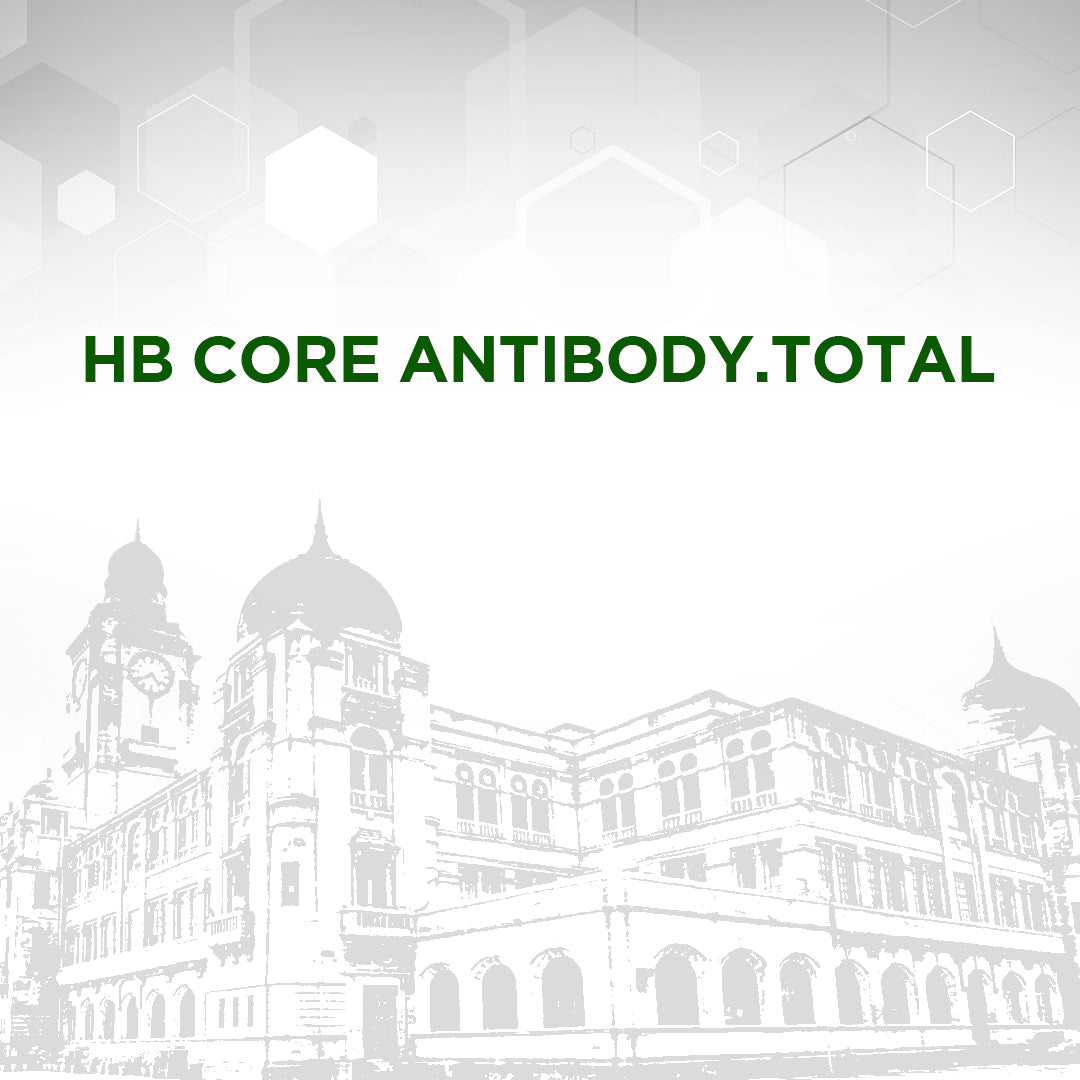 HB Core Antibody Total Test