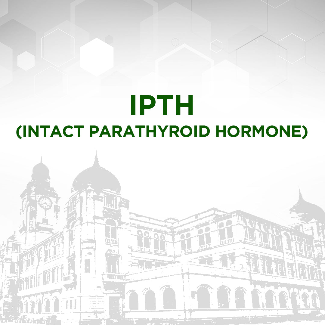 IPTH (Intact Parathyroid Hormone)