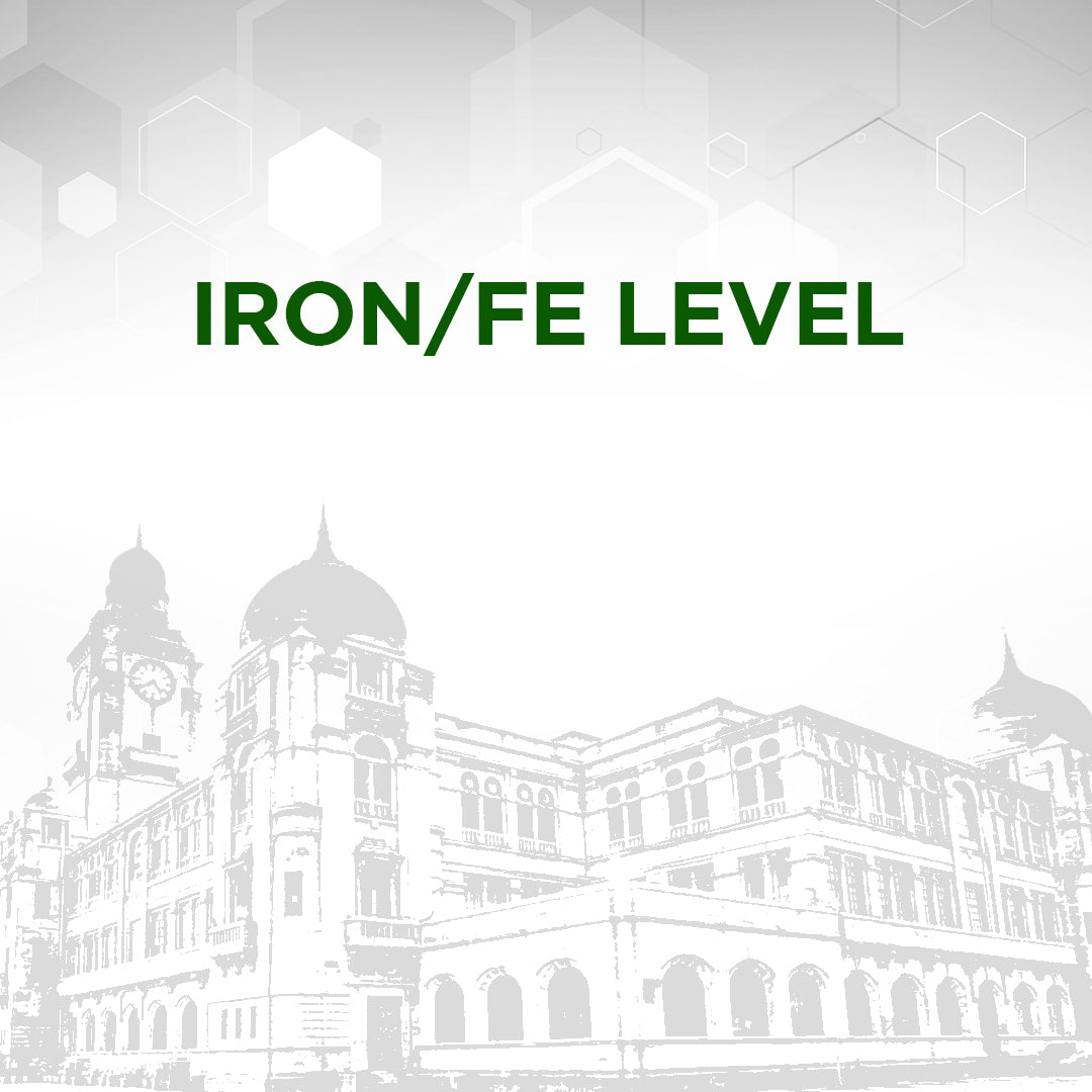 Iron / Fe Level Test