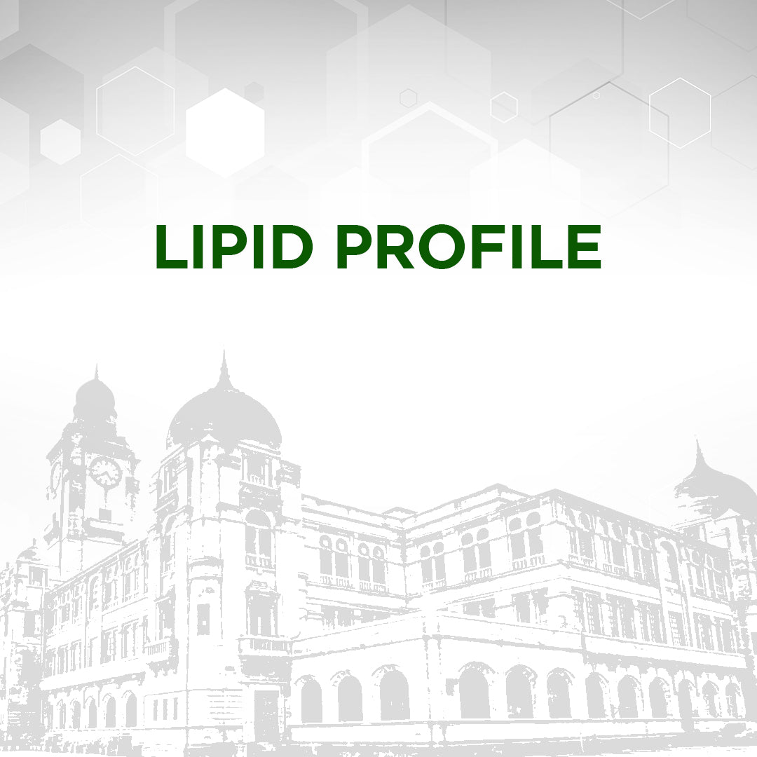 Lipid Profile Test