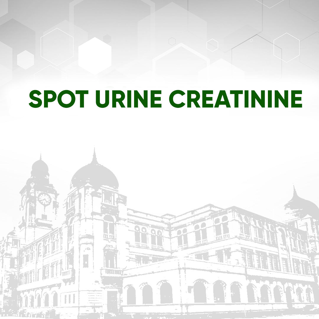 Spot Urine Creatinine