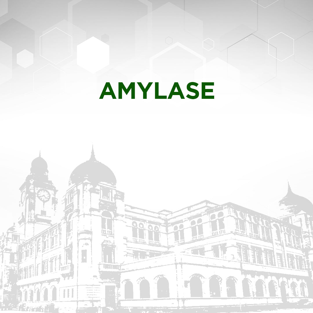 Amylase Test