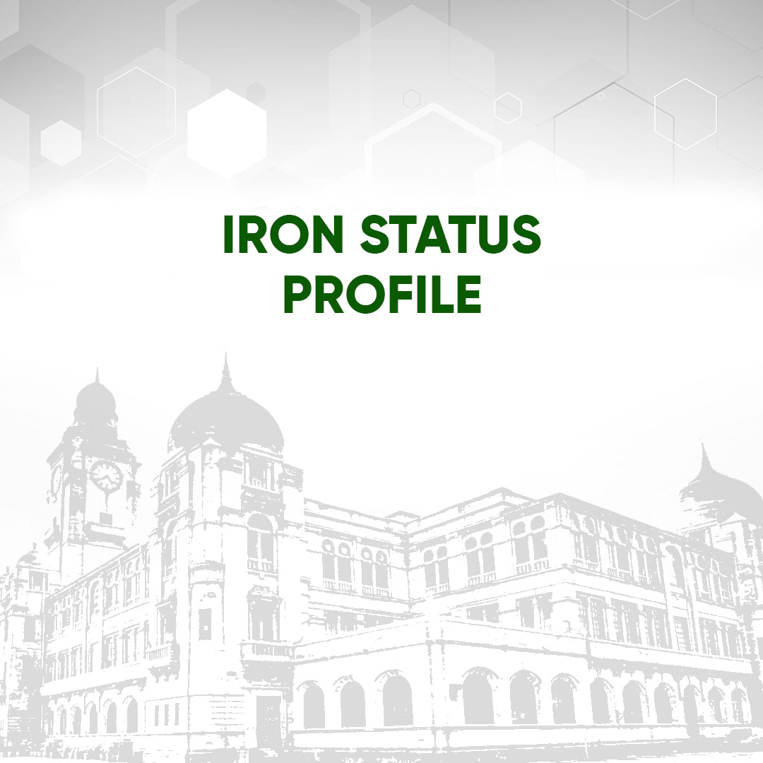 Iron Status Profile