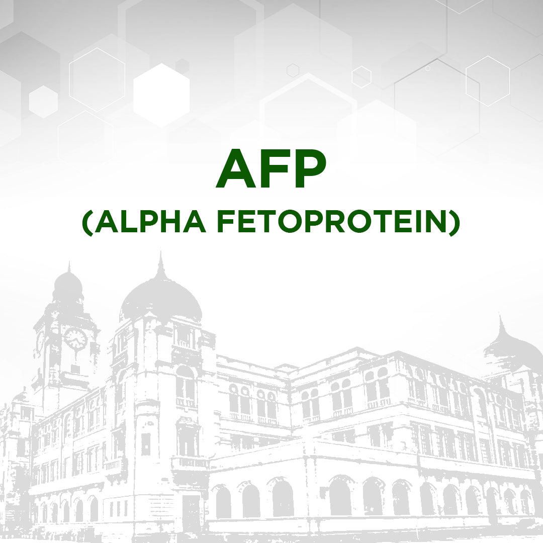 AFP (Alpha Fetoprotein) Test