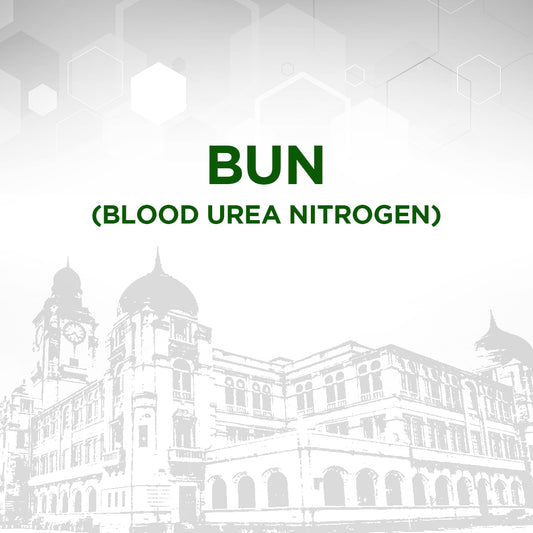 BUN (Blood Urea Nitrogen) Test