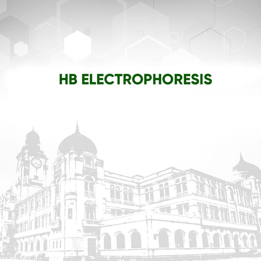 HB Electrophoresis Test