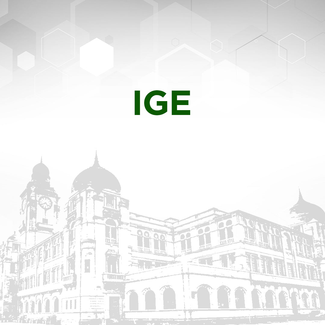 IgE Test