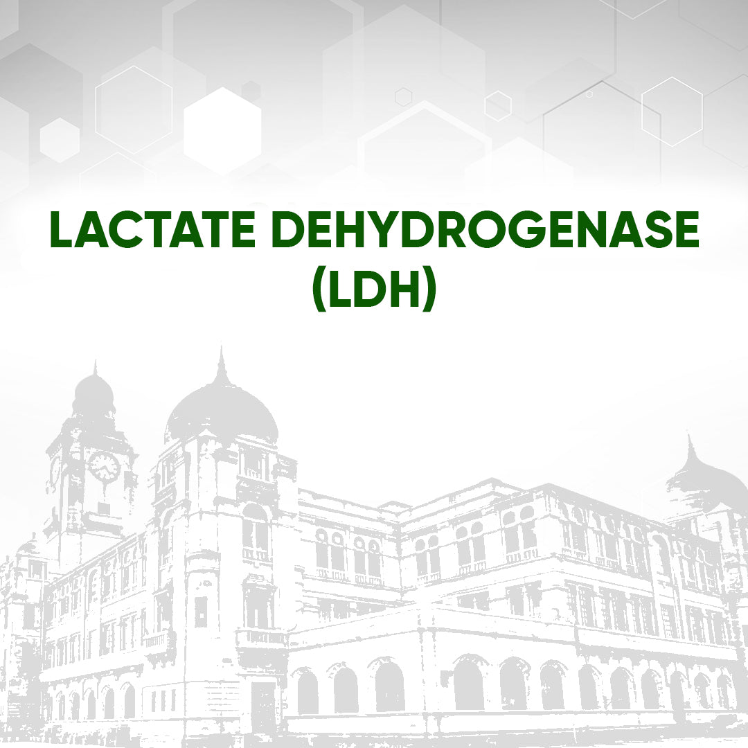 Lactate Dehydrogenase (LDH)