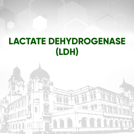 Lactate Dehydrogenase (LDH)