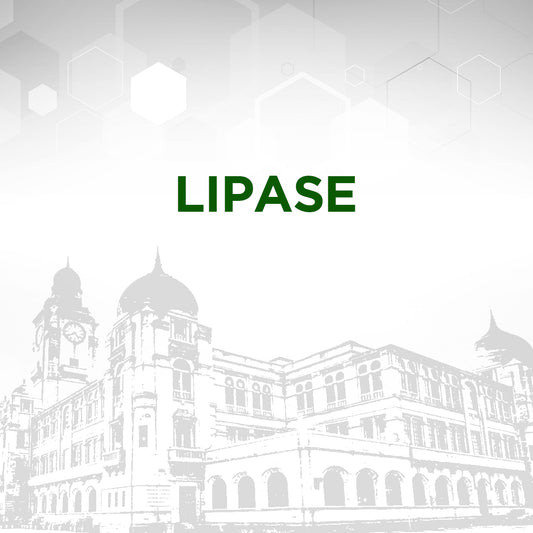 Lipase Test