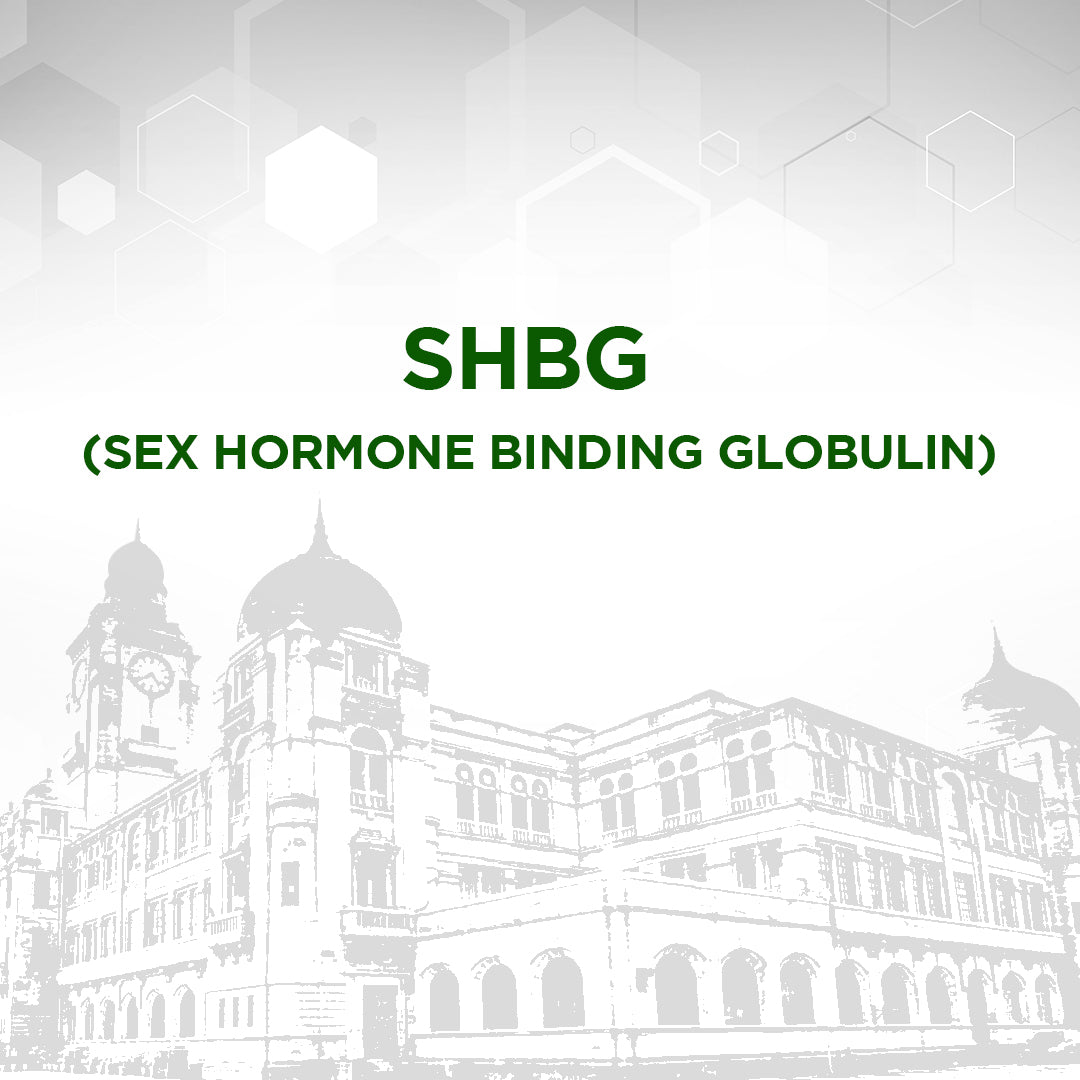 SHBG (Sex Hormone Binding Globulin)