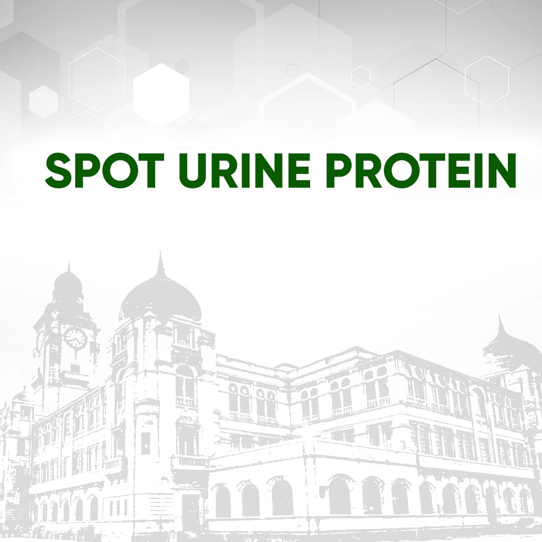 Spot Urine Protein