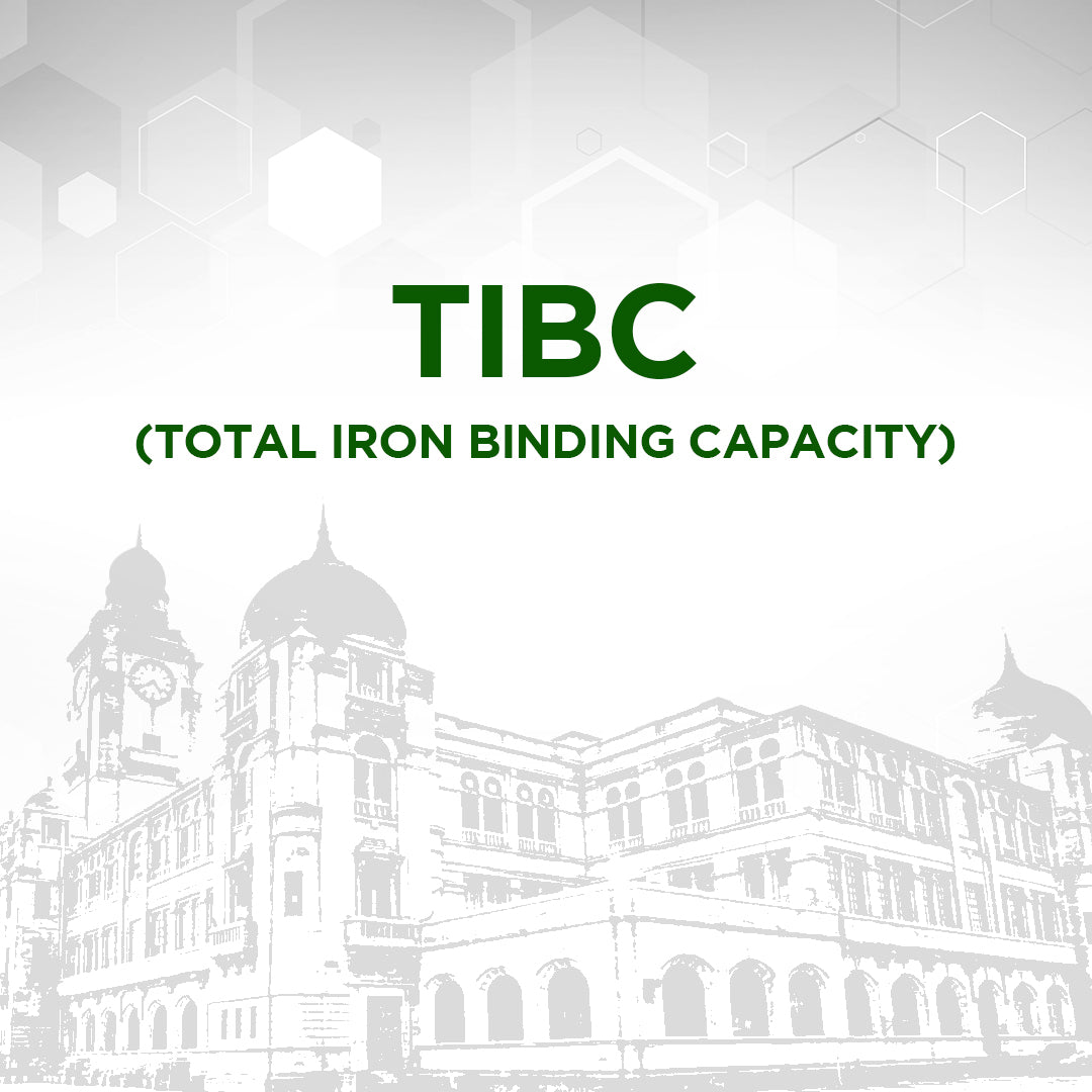 TIBC (Total Iron Binding Capacity) – KMC Labs