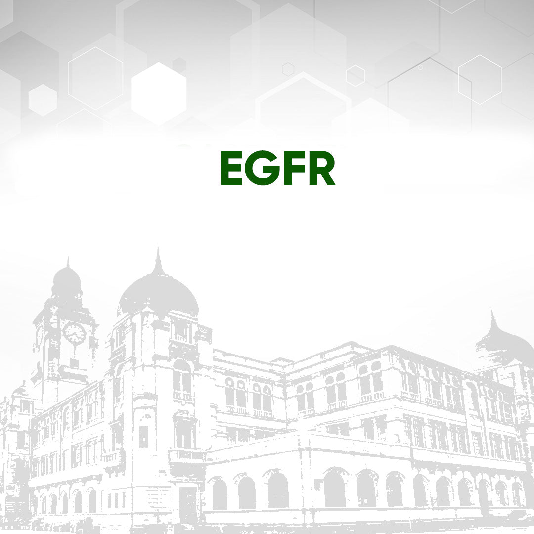 eGfr Test