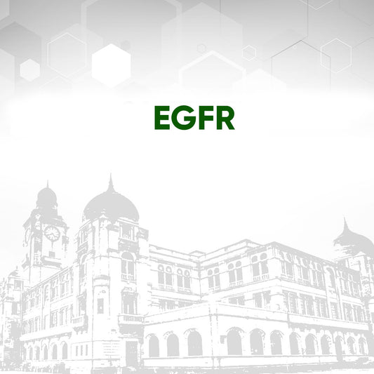eGfr Test