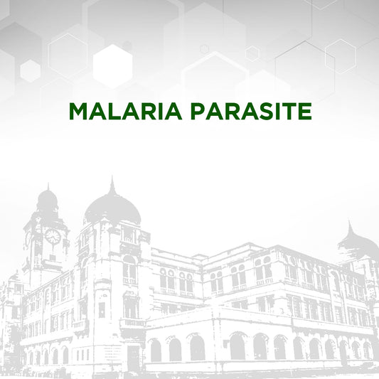 Malaria Parasite Test